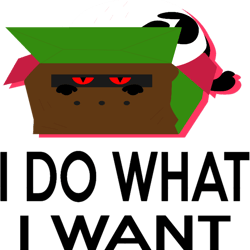 i do what i want cat t shirt