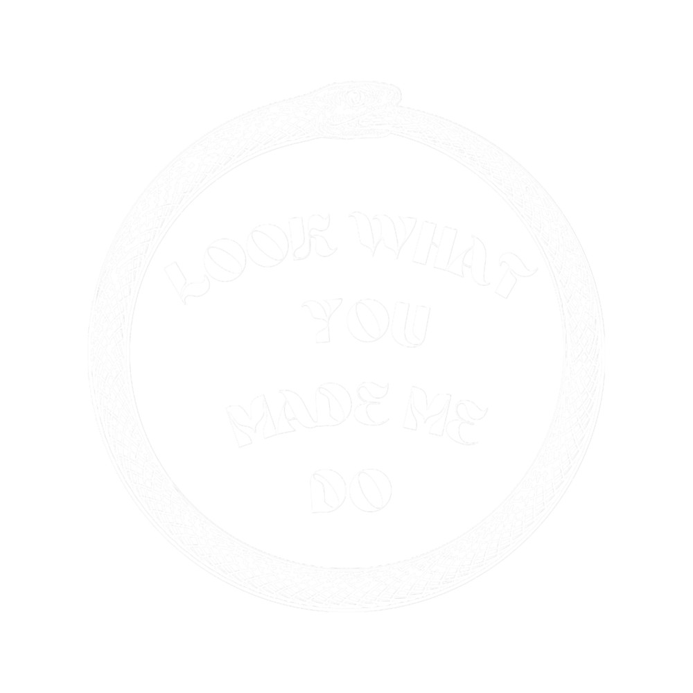 look what you made me do(4).png