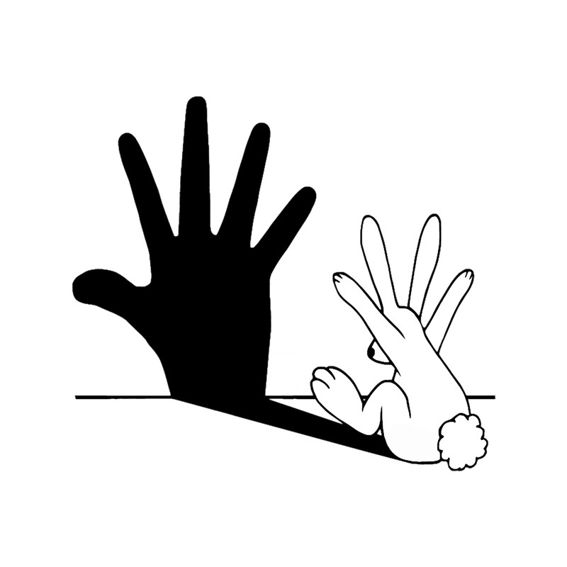 Rabbit Hand Shadow.png