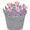 Purple hyacinth .png