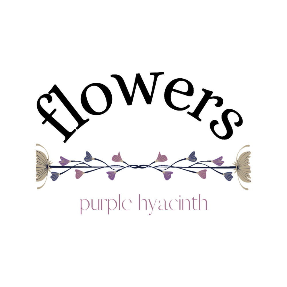 purple hyacinth(1).png