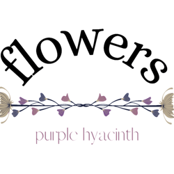 purple hyacinth(1)