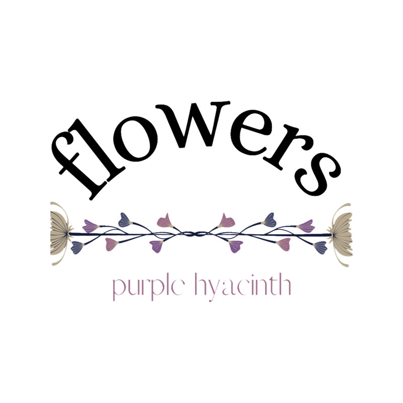 purple hyacinth(1).png