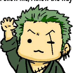 one piece roronoa zoro