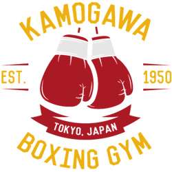 kamogawa boxing gloves vintage design