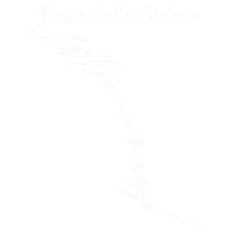 Outdoor Hike Bike and Run Passo dello Stelvio Bike Motorcycle and Cycling .png