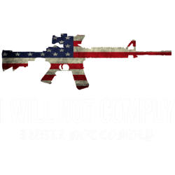 i will not comply gun