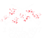 I Will Not Comply II.png