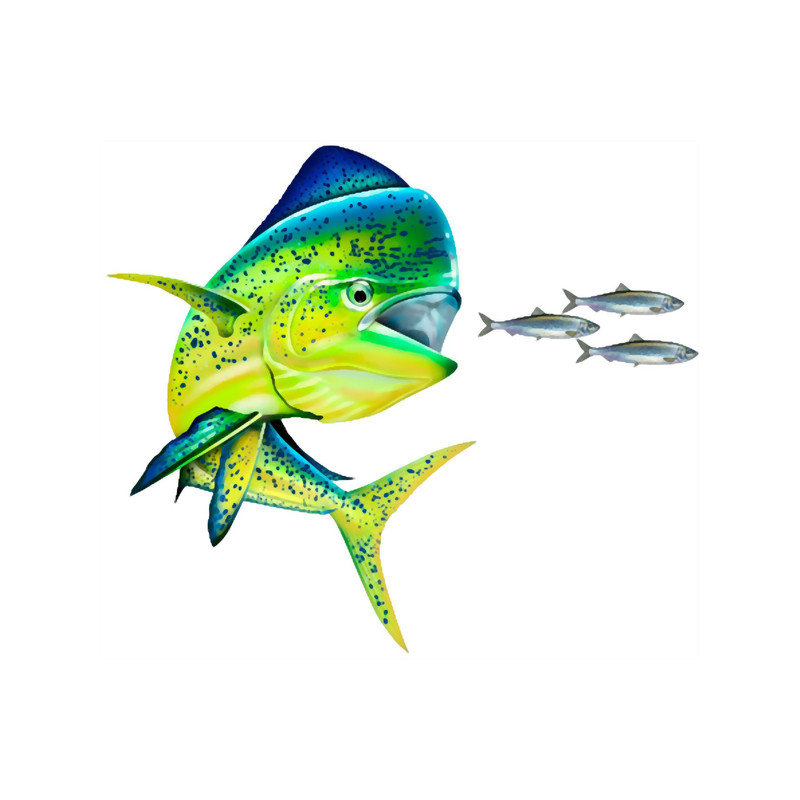 DAYZ FISHING CO..png