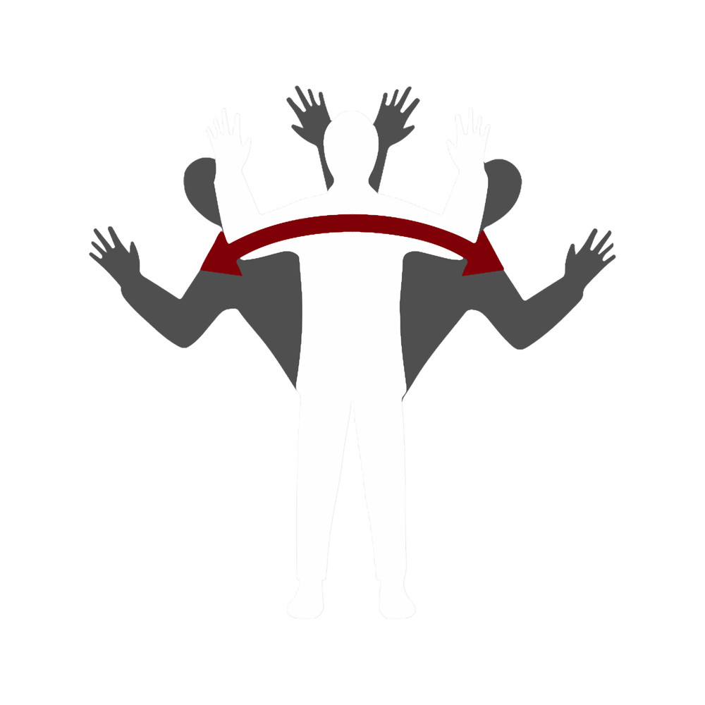 DayZ Friendly Dance.png