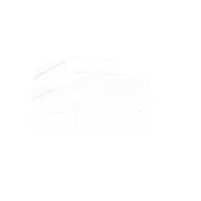 Defense Mechanism .png