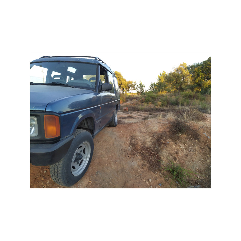 LR Disco florest.png