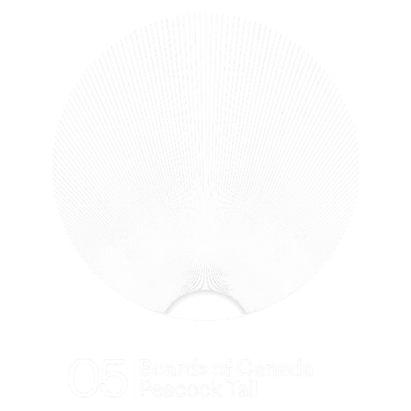 Boards Of Canada 1 (7).png