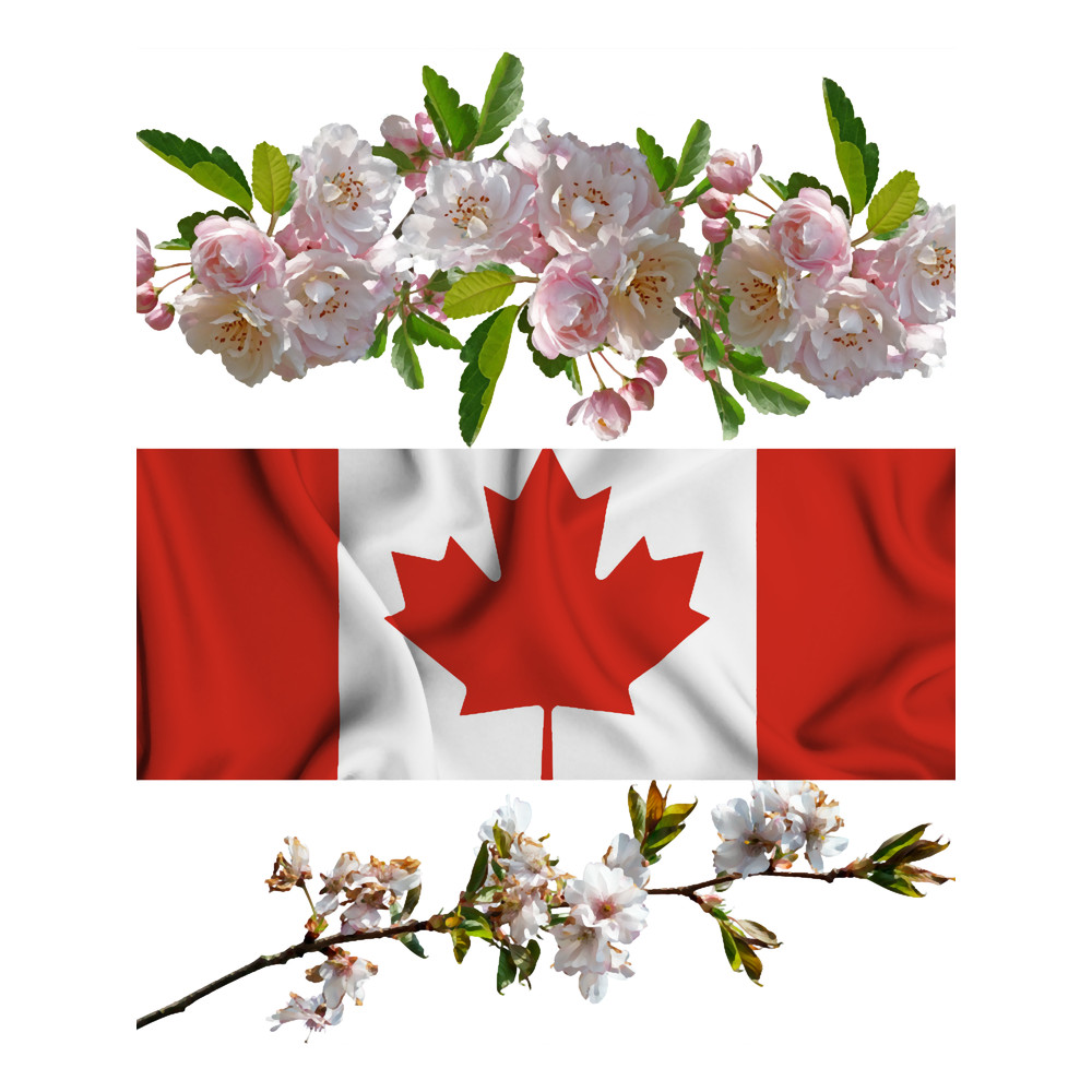 Boards of canada air canada team logo.png