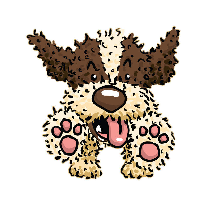 Running Little Lagotto Romagnolo.png