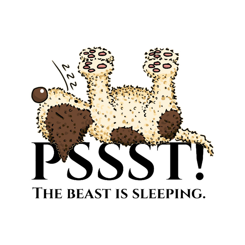 sleeping Lagotto.png