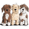 Three Lagotto Romagnolo.png