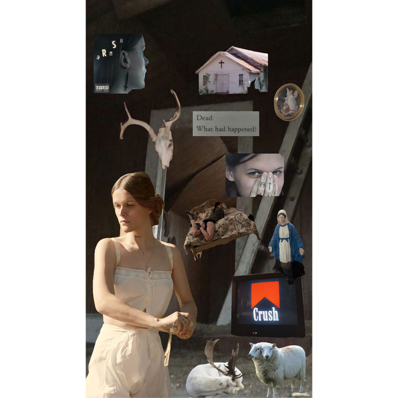 Ethel Cain aesthetic collage.png