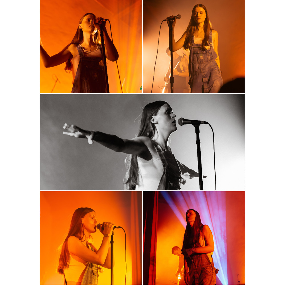 Ethel Cain American singer-songwriter Fire Aesthetic Collage - 1.png