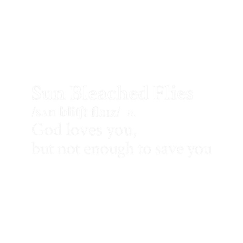 Sun Bleached Flies by Ethel Cain.png