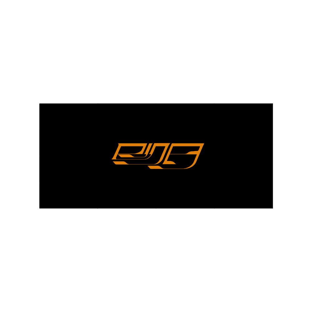 Orange Rina Sawayama Logo Merch.png