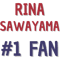 Rina Sawayama - 1 Fan.png
