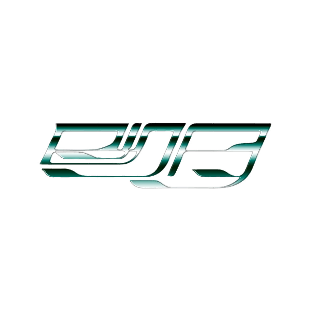 rina sawayama logo !.png