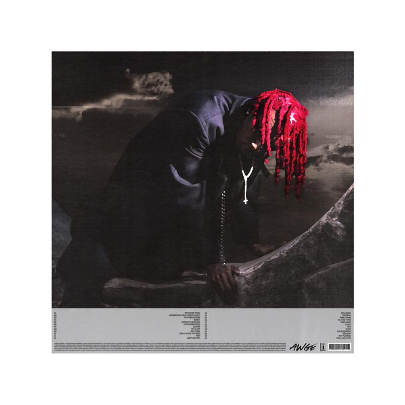 WLRKing Vamp Playboi Carti.png