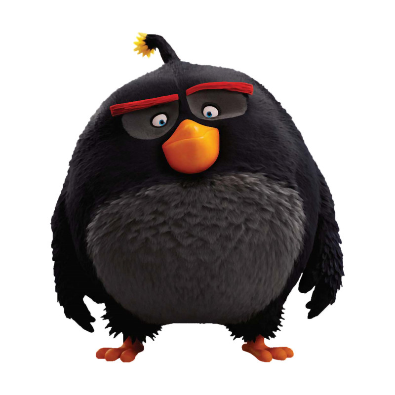 Angry eagle cartoons  .png