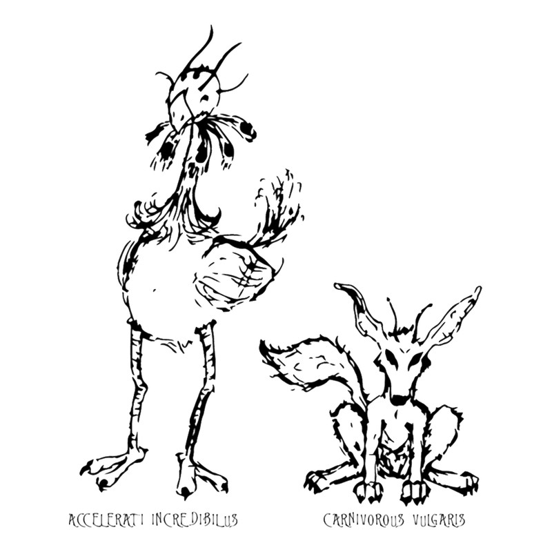 Coyote and Roadrunner.png