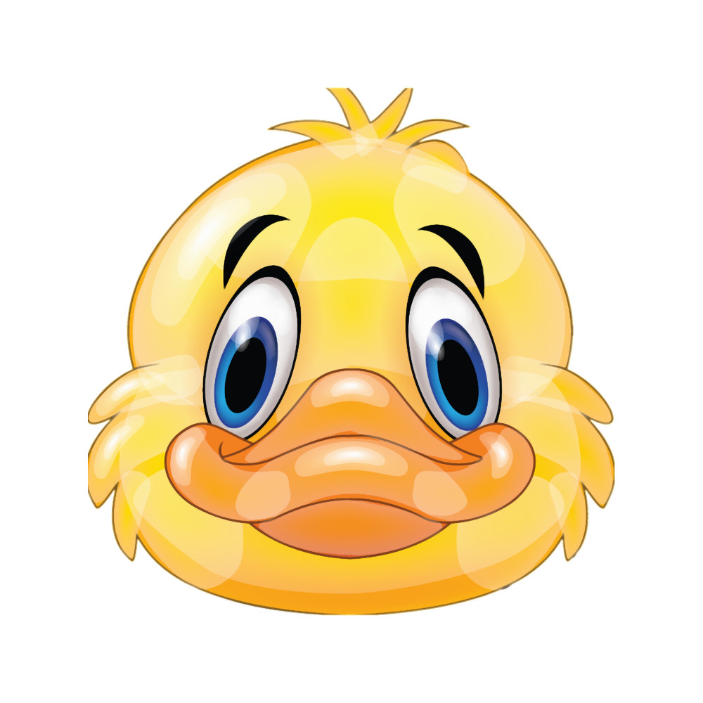 Funny duck .png