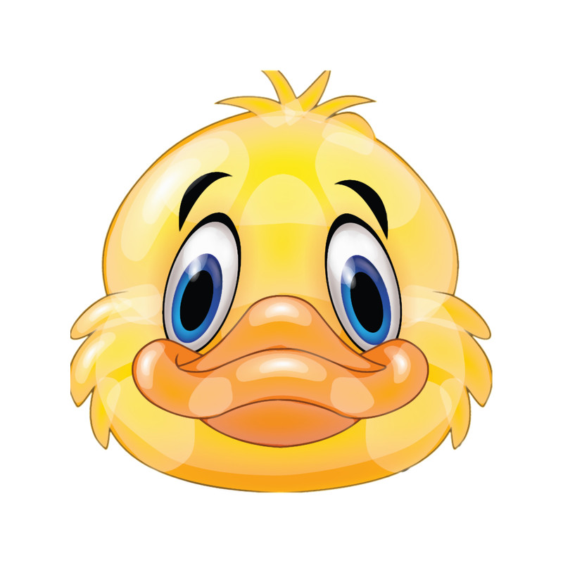 Funny duck .png