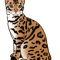 Looney tunes Luna.png