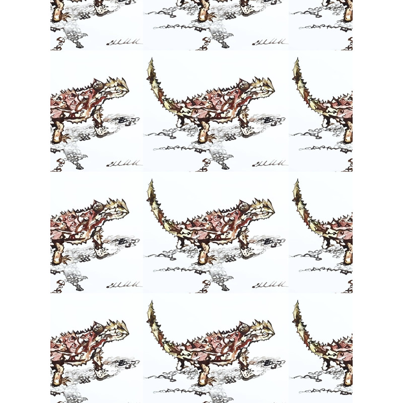 Australian lizard the Thorny devil an amazing creature Graphic .png