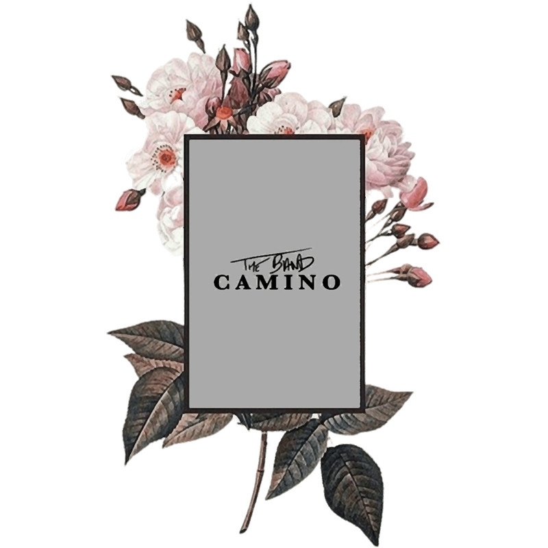 The Band Camino  .png