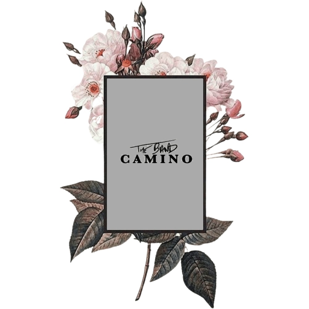 The Band Camino3 (1).png