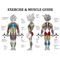 Anatomy Chart - Muscle Diagram - Anime Workout Inspirational  .png