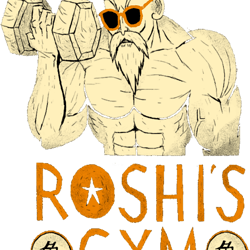 dragon ball roshis gym