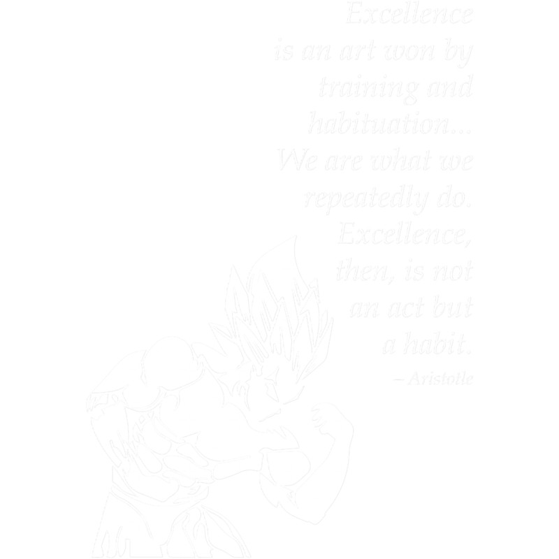 Excellence Is A Habit - Vegeta - Anime Workout.png