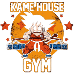funny kame house gym dragon balls z