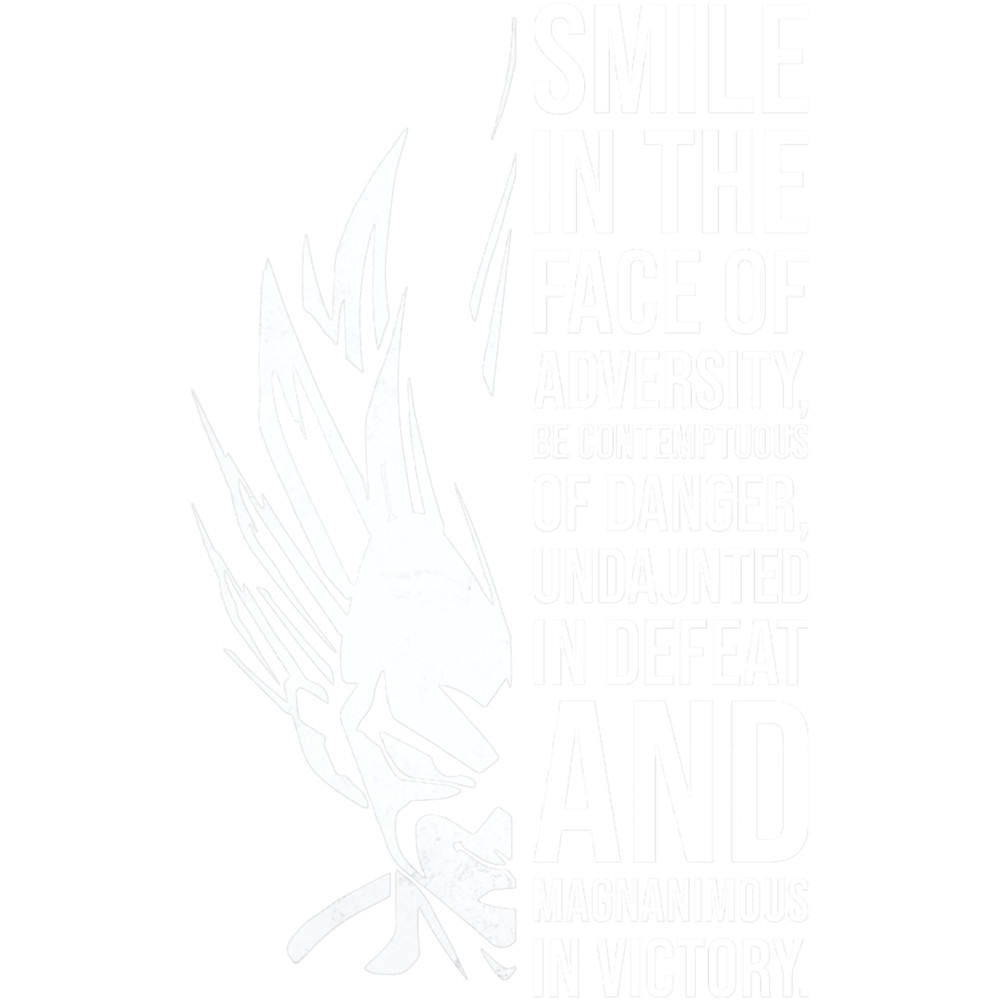 Smile In The Face Of Adversity - Vegeta.png