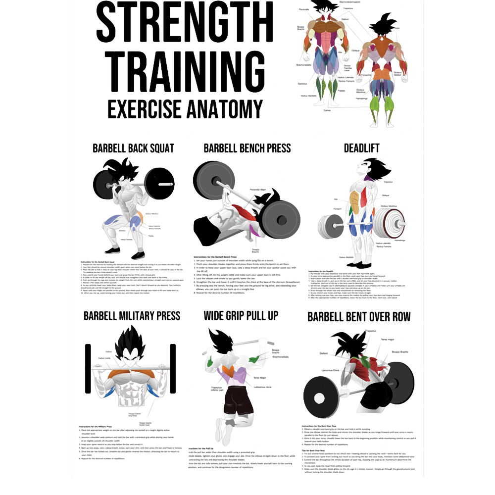 Strength Training Exercises - Muscle Chart - Anatomy Diagram - Anime.png