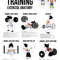Strength Training Exercises - Muscle Chart - Anatomy Diagram - Anime.png
