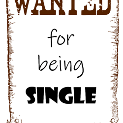 THE SINGLE WANTED