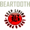 beartooth(31).png