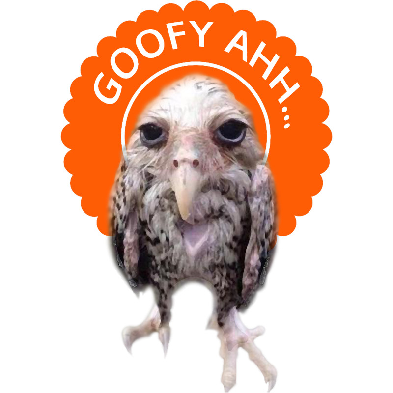 Goofy Ahh Funny Meme with Goofy Ahh Bird.png
