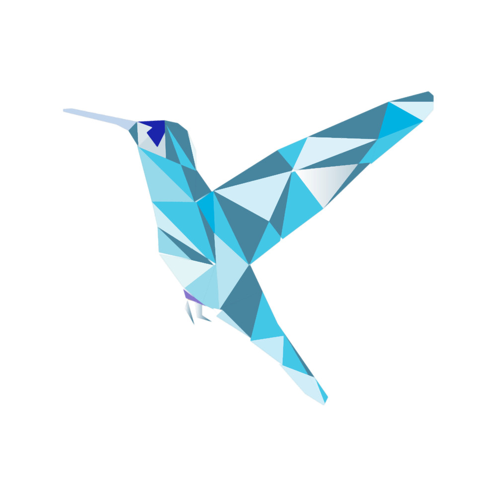 Humming bird illustration.png