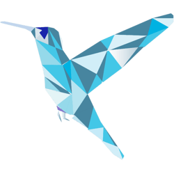 humming bird illustration