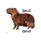 Capybara Keyboard Shortcuts Color.png