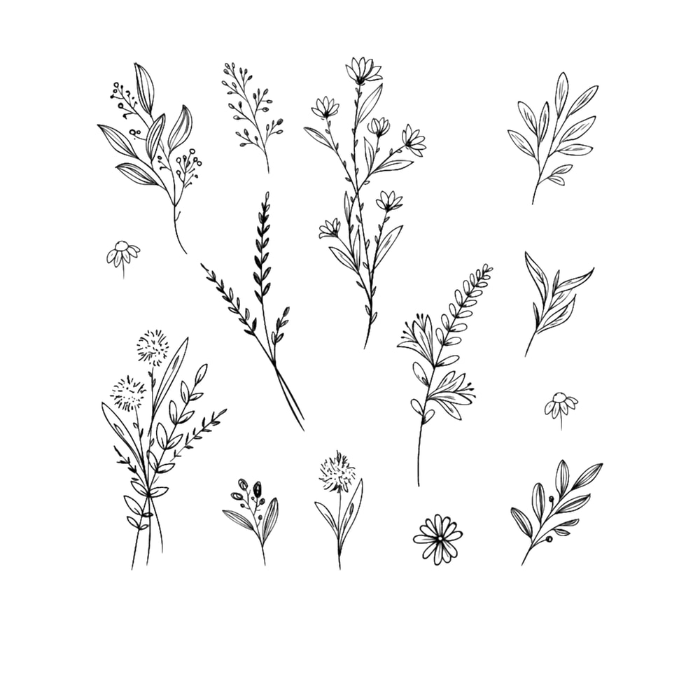Handdrawn Wildflower s.png
